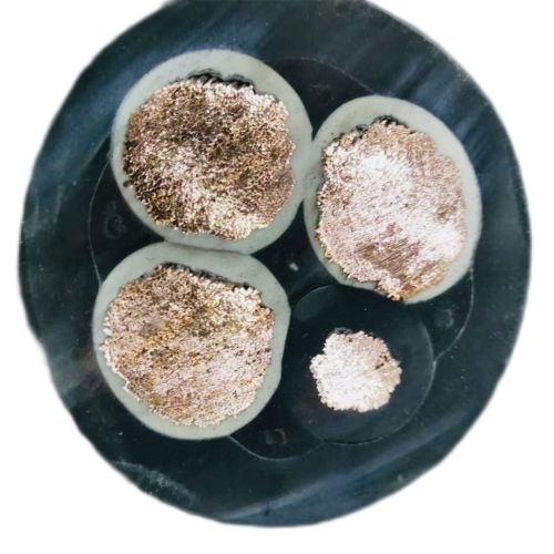 尊龙人生就是博·Z6「中国区」首页官网