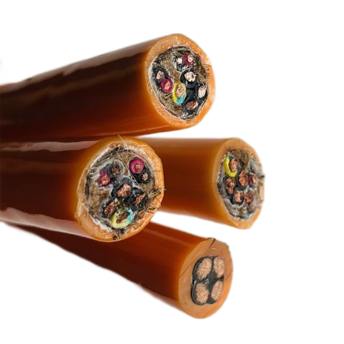 尊龙人生就是博·Z6「中国区」首页官网