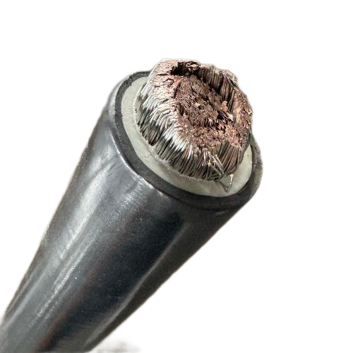 尊龙人生就是博·Z6「中国区」首页官网