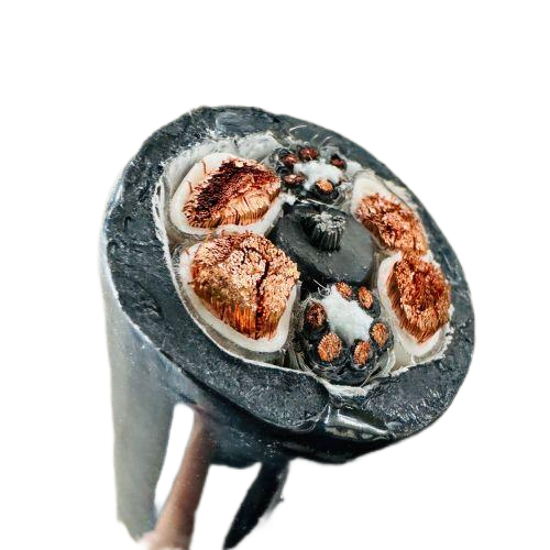 尊龙人生就是博·Z6「中国区」首页官网