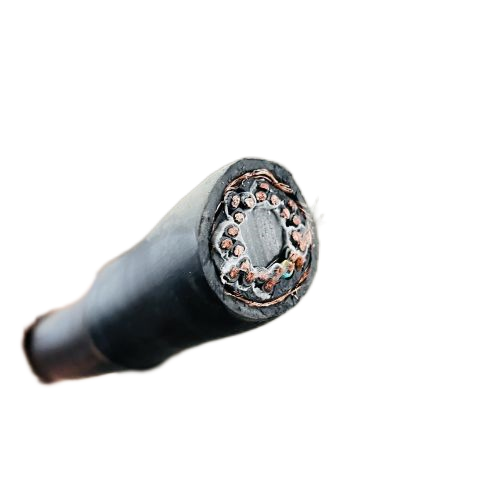 尊龙人生就是博·Z6「中国区」首页官网