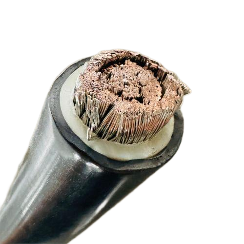 尊龙人生就是博·Z6「中国区」首页官网