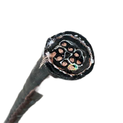 尊龙人生就是博·Z6「中国区」首页官网