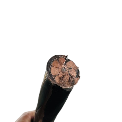 尊龙人生就是博·Z6「中国区」首页官网