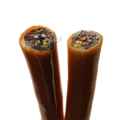 尊龙人生就是博·Z6「中国区」首页官网