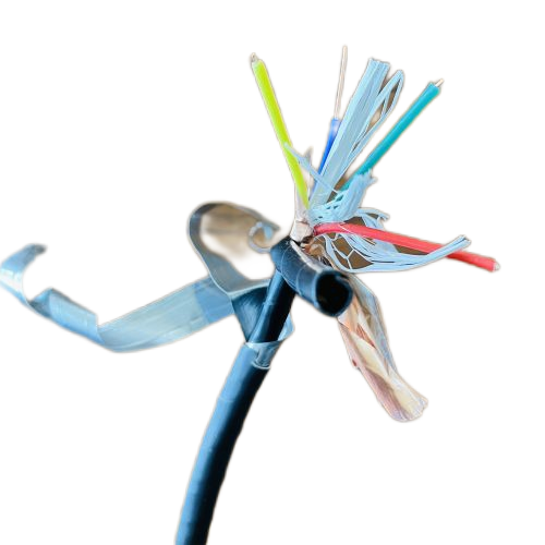 尊龙人生就是博·Z6「中国区」首页官网