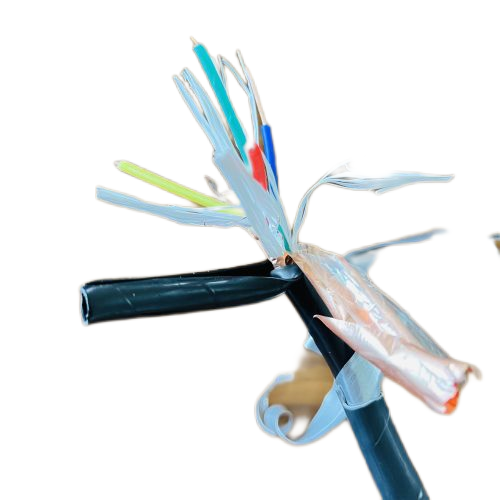 尊龙人生就是博·Z6「中国区」首页官网