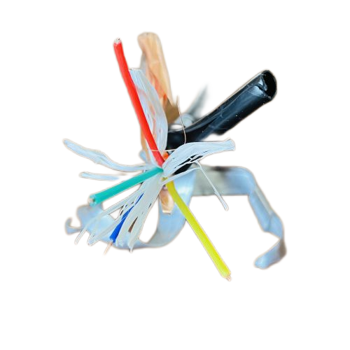 尊龙人生就是博·Z6「中国区」首页官网