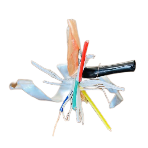 尊龙人生就是博·Z6「中国区」首页官网