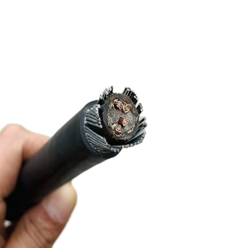 尊龙人生就是博·Z6「中国区」首页官网