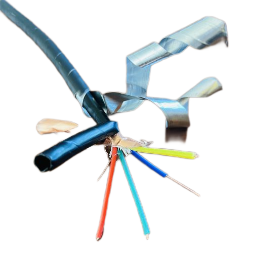 尊龙人生就是博·Z6「中国区」首页官网