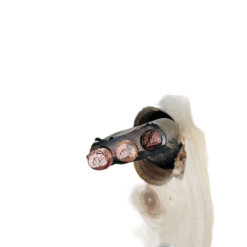 尊龙人生就是博·Z6「中国区」首页官网