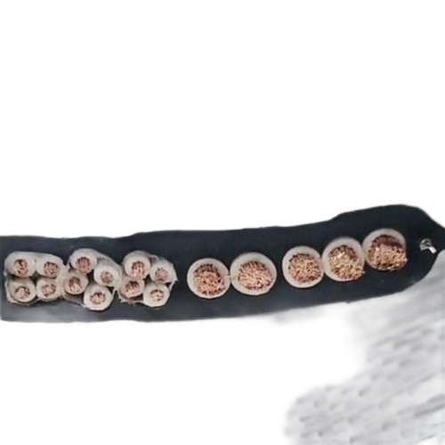 尊龙人生就是博·Z6「中国区」首页官网