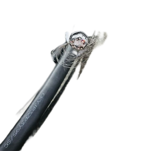 尊龙人生就是博·Z6「中国区」首页官网