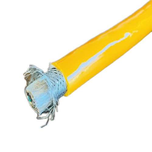 尊龙人生就是博·Z6「中国区」首页官网