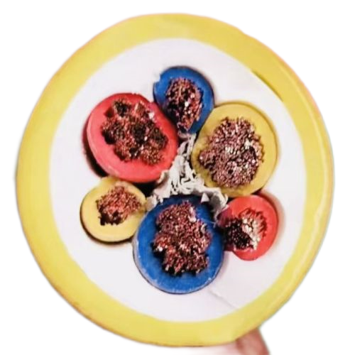 尊龙人生就是博·Z6「中国区」首页官网