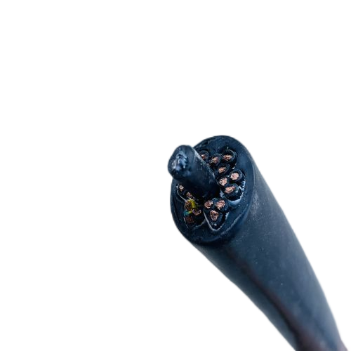 尊龙人生就是博·Z6「中国区」首页官网