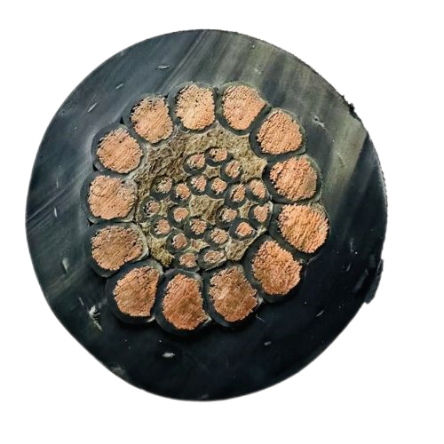 尊龙人生就是博·Z6「中国区」首页官网