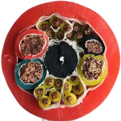 尊龙人生就是博·Z6「中国区」首页官网