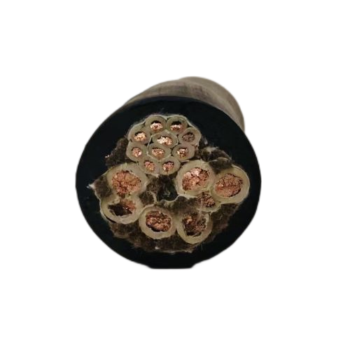 尊龙人生就是博·Z6「中国区」首页官网