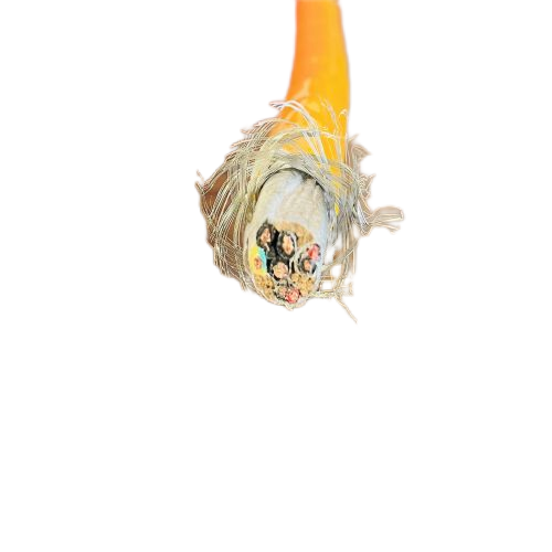 尊龙人生就是博·Z6「中国区」首页官网