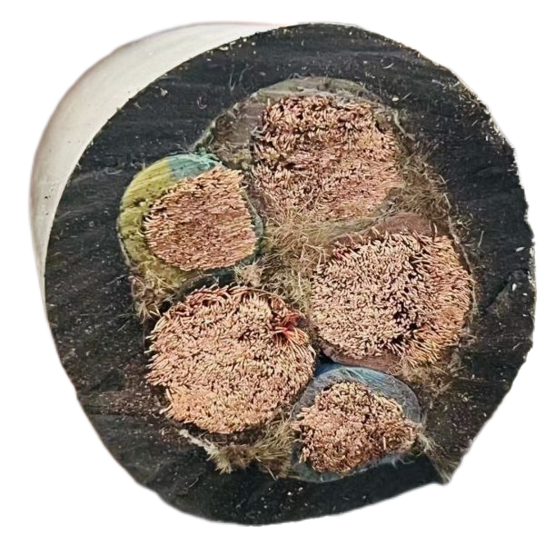 尊龙人生就是博·Z6「中国区」首页官网