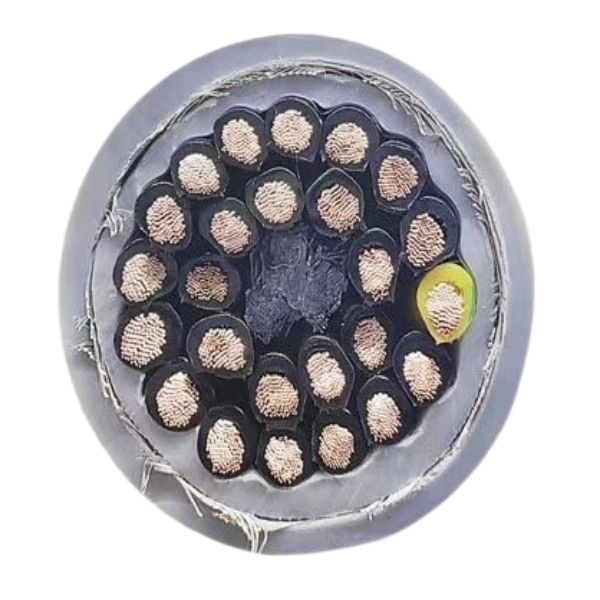 尊龙人生就是博·Z6「中国区」首页官网