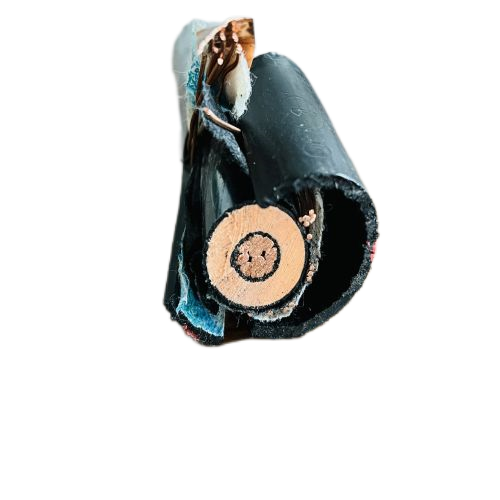 尊龙人生就是博·Z6「中国区」首页官网