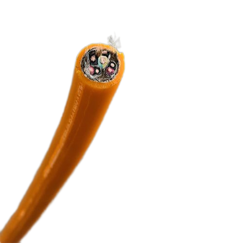 尊龙人生就是博·Z6「中国区」首页官网