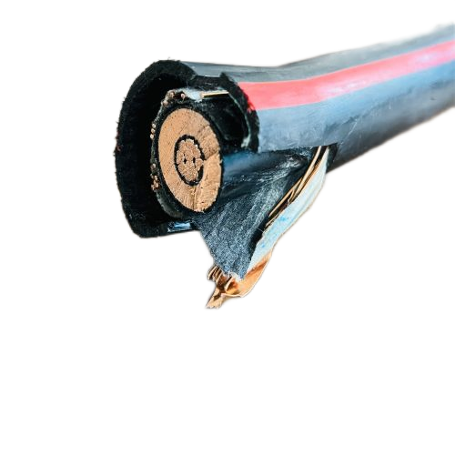 尊龙人生就是博·Z6「中国区」首页官网