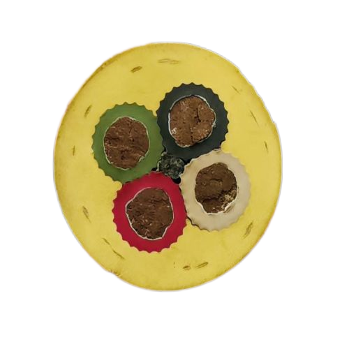 尊龙人生就是博·Z6「中国区」首页官网