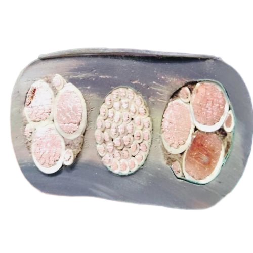 尊龙人生就是博·Z6「中国区」首页官网