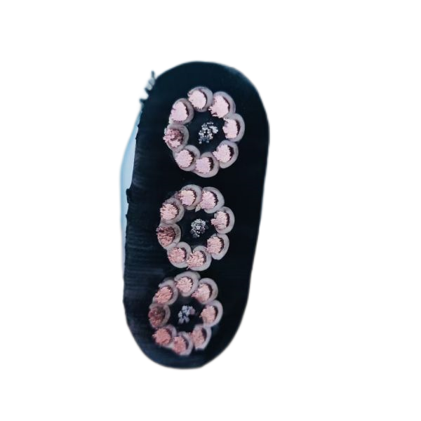 尊龙人生就是博·Z6「中国区」首页官网