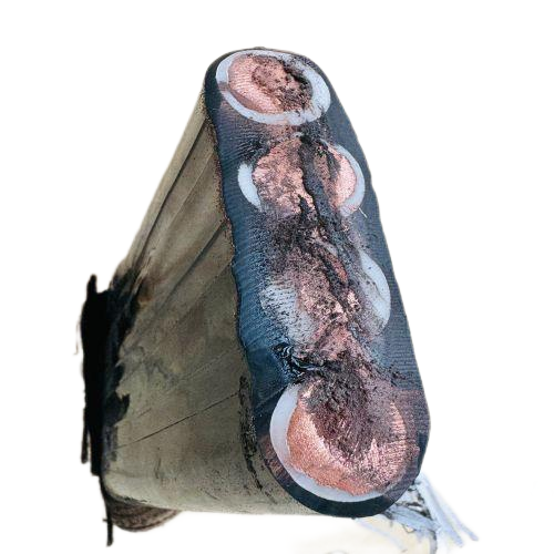 尊龙人生就是博·Z6「中国区」首页官网