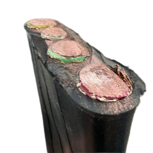 尊龙人生就是博·Z6「中国区」首页官网