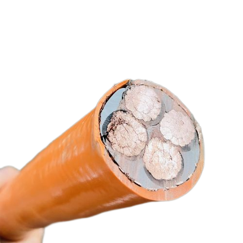 尊龙人生就是博·Z6「中国区」首页官网