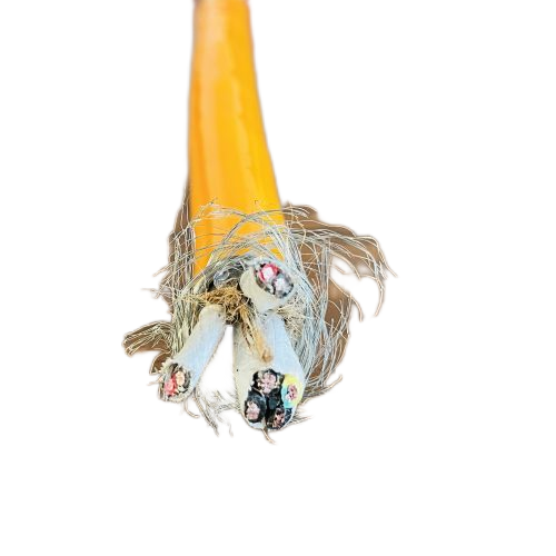 尊龙人生就是博·Z6「中国区」首页官网