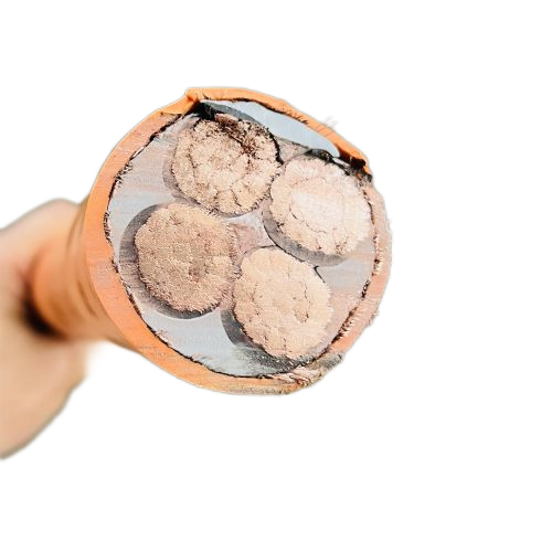 尊龙人生就是博·Z6「中国区」首页官网