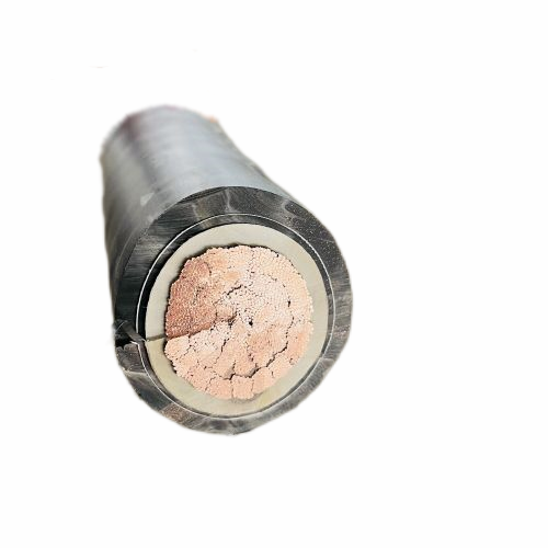 尊龙人生就是博·Z6「中国区」首页官网