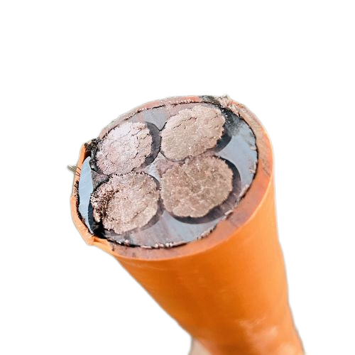 尊龙人生就是博·Z6「中国区」首页官网