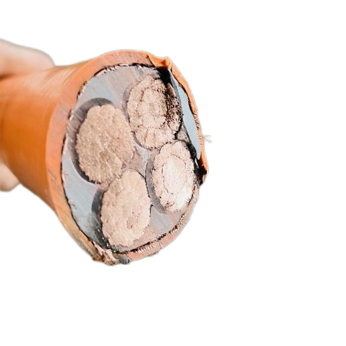 尊龙人生就是博·Z6「中国区」首页官网