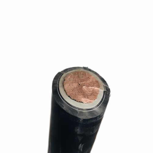 尊龙人生就是博·Z6「中国区」首页官网