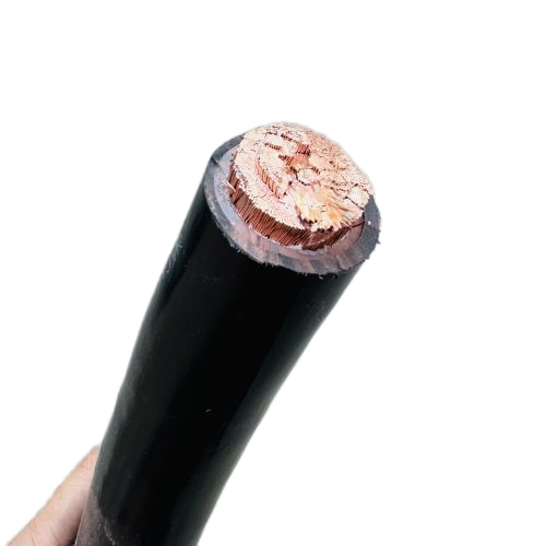 尊龙人生就是博·Z6「中国区」首页官网