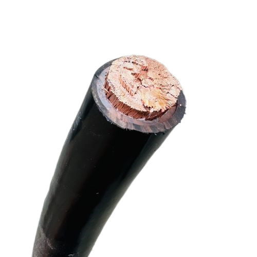 尊龙人生就是博·Z6「中国区」首页官网