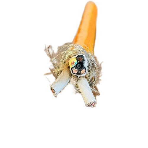 尊龙人生就是博·Z6「中国区」首页官网