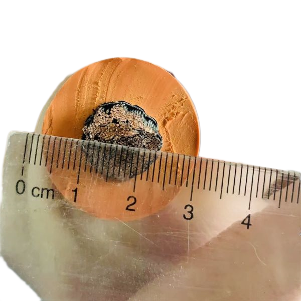 尊龙人生就是博·Z6「中国区」首页官网