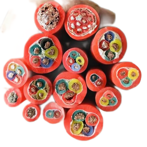 尊龙人生就是博·Z6「中国区」首页官网