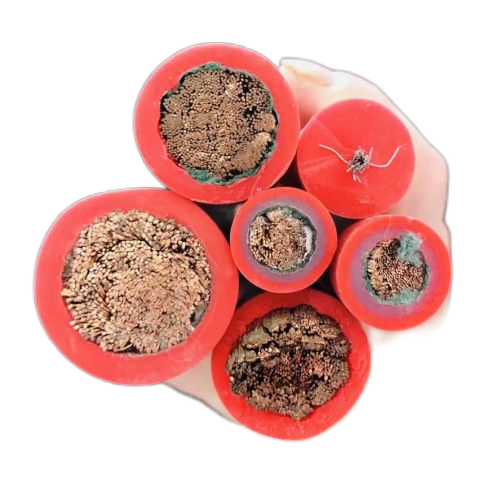 尊龙人生就是博·Z6「中国区」首页官网