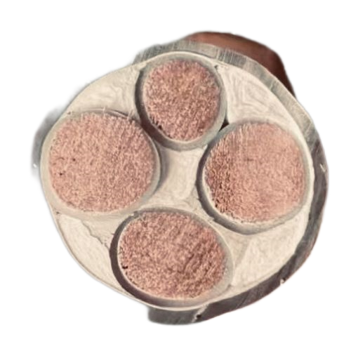 尊龙人生就是博·Z6「中国区」首页官网