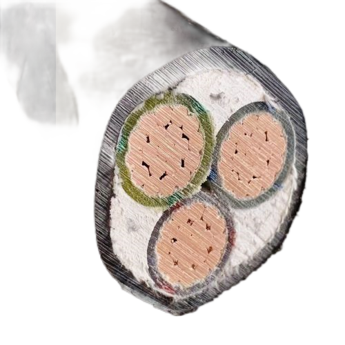 尊龙人生就是博·Z6「中国区」首页官网